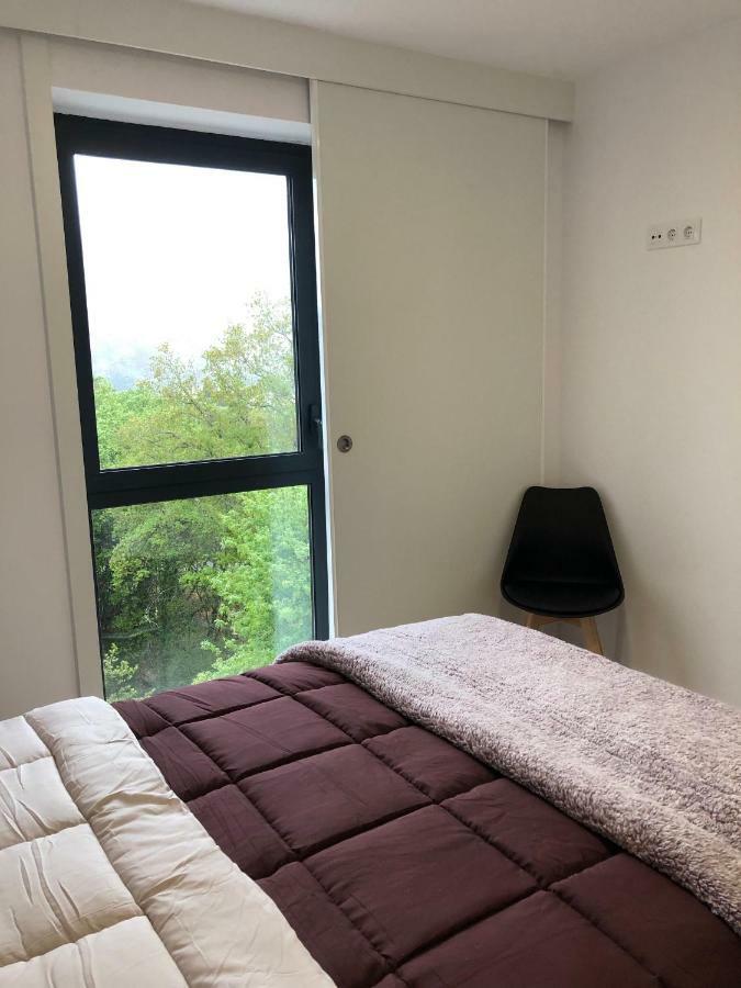 Apartamentos Compostela โลวิโอส ภายนอก รูปภาพ